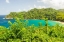 Picture of CARIBBEAN-TOBAGO OCEAN COVE AND JUNGLE LANDSCAPE 