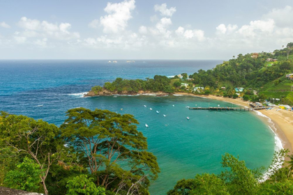 Picture of CARIBBEAN-TOBAGO PARLATUVIER BAY AND BEACH LANDSCAPE 