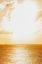 Picture of ISLAND OF SAINT MARTIN-FRENCH CARIBBEAN-SAILBOAT ON THE WATER ON A BRIGHT-SUNNY DAY