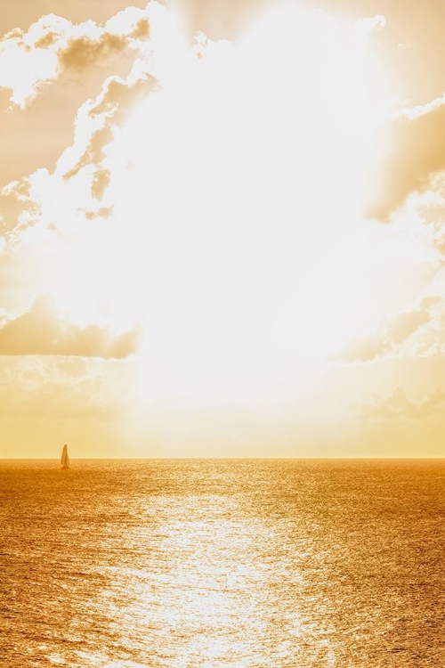 Picture of ISLAND OF SAINT MARTIN-FRENCH CARIBBEAN-SAILBOAT ON THE WATER ON A BRIGHT-SUNNY DAY