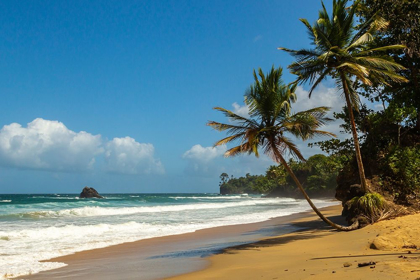 Picture of CARIBBEAN-TRINIDAD-BLANCHISSEUSE BAY BEACH AND OCEAN LANDSCAPE 