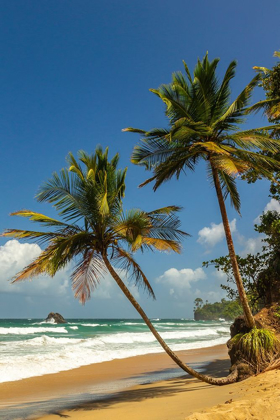 Picture of CARIBBEAN-TRINIDAD-BLANCHISSEUSE BAY BEACH AND OCEAN LANDSCAPE 