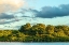 Picture of CARIBBEAN-TRINIDAD-CARONI SWAMP SCARLET IBIS BIRDS IN FLIGHT AND FLAMINGOS IN WATER 