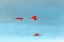 Picture of CARIBBEAN-TRINIDAD-CARONI SWAMP SCARLET IBIS BIRDS IN FLIGHT 