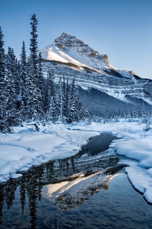 Picture of CANADA-ALBERTA-JASPER NATIONAL PARK-TANGLE PEAK REFLECTED IN BEAUTY CREEK