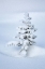 Picture of CANADA-ALBERTA-JASPER NATIONAL PARK-TINY-SNOW-COVERED FIR TREE