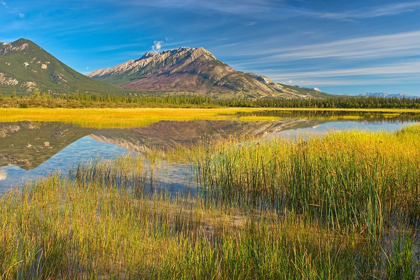 Picture of CANADA-ALBERTA-JASPER NATIONAL PARK REFLECTIONS IN JASPER LAKE