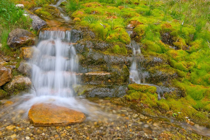 Picture of CANADA-ALBERTA-BANFF NATIONAL PARK CREEK AND WATERFALL SCENIC