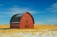 Picture of CANADA-ALBERTA-VULCAN RED BARN IN WINTER