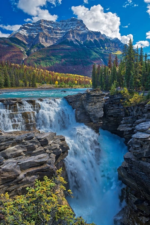 Picture of CANADA-ALBERTA-JASPER NATIONAL PARK ATHABASCA RIVER AT ATHABASCA FALLS