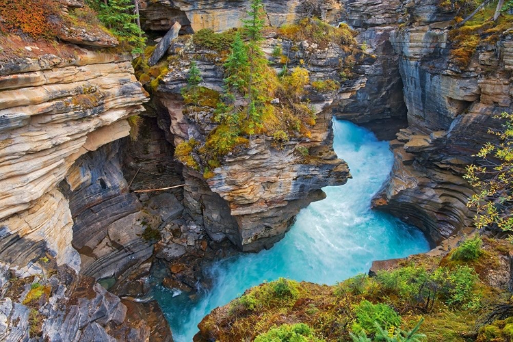 Picture of CANADA-ALBERTA-JASPER NATIONAL PARK ATHABASCA RIVER AT ATHABASCA FALLS