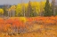Picture of CANADA-ALBERTA-BANFF NATIONAL PARK BOW VALLEY IN AUTUMN COLORS