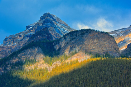 Picture of CANADA-ALBERTA-BANFF NATIONAL PARK MOUNTAIN LANDSCAPE