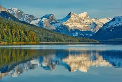 Picture of CANADA-ALBERTA-JASPER NATIONAL PARK REFLECTIONS IN MALIGNE LAKE