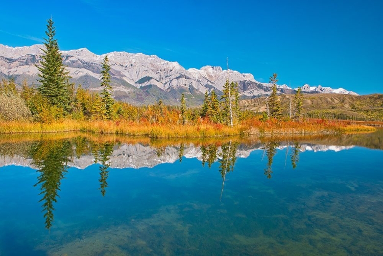 Picture of CANADA-ALBERTA-JASPER NATIONAL PARK REFLECTIONS IN TALBOT LAKE