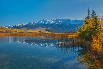 Picture of CANADA-ALBERTA-JASPER NATIONAL PARK REFLECTIONS IN TALBOT LAKE