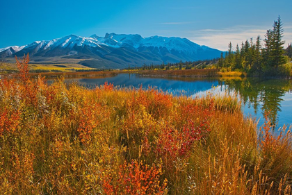 Picture of CANADA-ALBERTA-JASPER NATIONAL PARK REFLECTIONS IN TALBOT LAKE