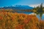 Picture of CANADA-ALBERTA-JASPER NATIONAL PARK REFLECTIONS IN TALBOT LAKE