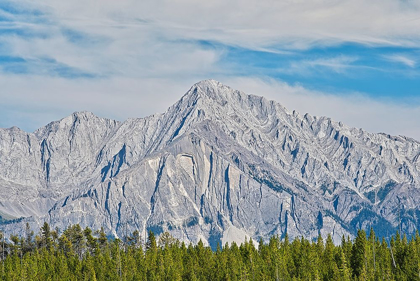 Picture of CANADA-ALBERTA-BANFF NATIONAL PARK MOUNT ISHBEL LANDSCAPE