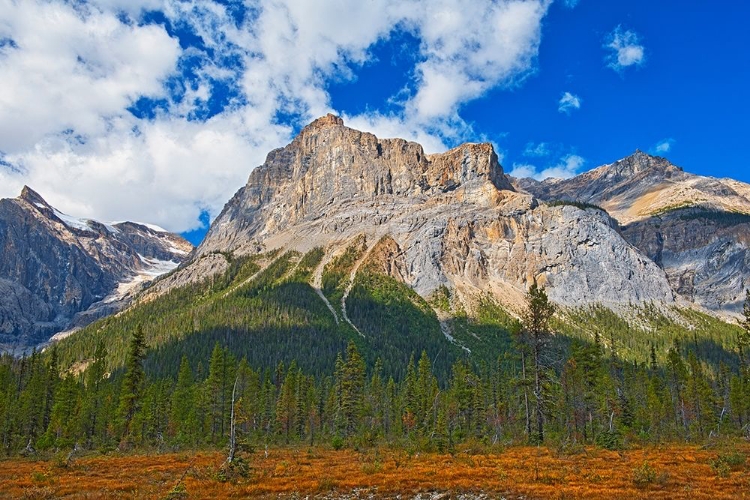 Picture of CANADA-ALBERTA-YOHO NATIONAL PARK THE PRESIDENT RANGE MOUNTAIN LANDSCAPE