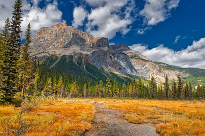 Picture of CANADA-ALBERTA-YOHO NATIONAL PARK THE PRESIDENT RANGE MOUNTAIN AND WATER LANDSCAPE
