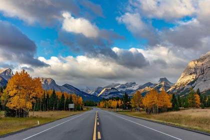 Picture of MORNING LIGHT ON HIGHWAY 40 IN KANANASKIS COUNTRY-ALBERTA-CANADA