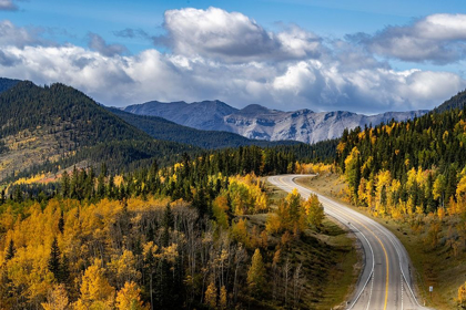 Picture of HIGHWAY 66 IN AUTUMN IN KANANASKIS COUNTRY-ALBERTA-CANADA