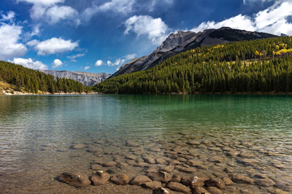 Picture of TWO JACK LAKE IN BANFF NATIONAL PARK-CANADA