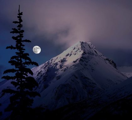 Picture of MOONRISE OVER THE CANADIAN ROCKY MOUNTAINS IN JASPER NATIONAL PARK-ALBERTA-CANADA