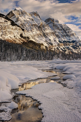 Picture of WINTER IN JASPER NATIONAL PARK-ALBERTA-CANADA