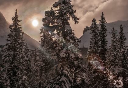 Picture of JASPER NATIONAL PARK IN ALBERTA CANADA WAKES TO ANOTHER WINTER SUNRISE