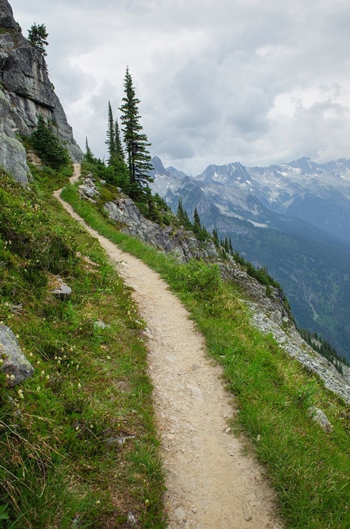 Picture of ABBOTT RIDGE TRAIL ALONG CLIFFS BELOW MOUNT ABBOTT SELKIRK MOUNTAINS GLACIER NATIONAL PARK