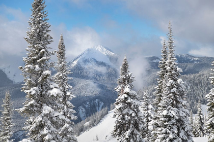 Picture of NORTH CASCADES IN FRESH WINTER SNOW MANNING PROVINCIAL PARK-BRITISH COLUMBIA