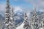 Picture of NORTH CASCADES IN FRESH WINTER SNOW MANNING PROVINCIAL PARK-BRITISH COLUMBIA
