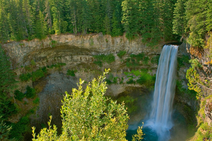 Picture of CANADA-BRITISH COLUMBIA-BRANDYWINE FALLS PROVINCIAL PARK-WATERFALL OFF CLIFF INTO POOL