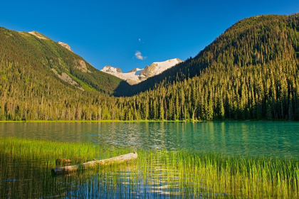 Picture of CANADA-BRITISH COLUMBIA-JOFFRE LAKES PROVINCIAL PARK-LOWER JOFFRE LAKE LANDSCAPE