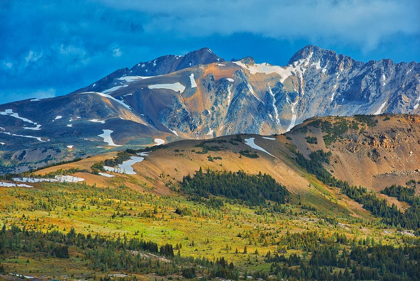 Picture of CANADA-BRITISH COLUMBIA-SUNSHINE MEADOWS MOUNTAIN AND VALLEY LANDSCAPE