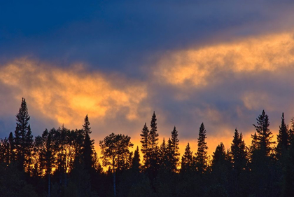 Picture of CANADA-BRITISH COLUMBIA-LIARD RIVER HOT SPRINGS PROVINCIAL PARK SUNSET AND FOREST SILHOUETTE