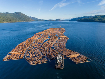 Picture of CANADA-BRITISH COLUMBIA-CAMPBELL RIVER-AERIAL VIEW OF TUGBOAT PUSHING BOOM OF FRESHLY CUT LOGS