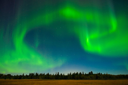 Picture of CANADA-MANITOBA-BIRDS HILL PROVINCIAL PARK-GREEN NORTHERN LIGHTS