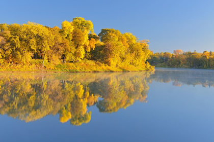 Picture of CANADA-MANITOBA-WINNIPEG FOREST REFLECTED IN RED RIVER AT SUNRISE