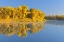 Picture of CANADA-MANITOBA-WINNIPEG FOREST REFLECTED IN RED RIVER AT SUNRISE