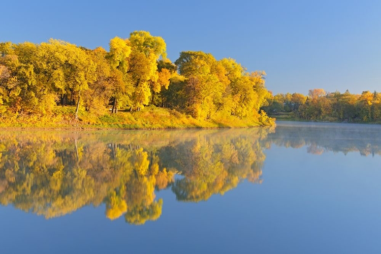 Picture of CANADA-MANITOBA-WINNIPEG FOREST REFLECTED IN RED RIVER AT SUNRISE