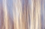 Picture of CANADA-MANITOBA-SANDILANDS PROVINCIAL FOREST FOREST ABSTRACT