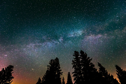 Picture of CANADA-MANITOBA-MILKY WAY GALAXY AND STARRY NIGHT WITH WHITE SPRUCE IN FOREGROUND