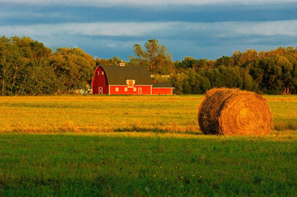 Picture of CANADA-MANITOBA-MATLOCK RED BARN AND BALE AT SUNRISE