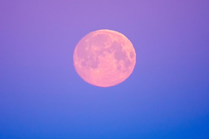 Picture of CANADA-MANITOBA-DUGALD FULL MOON AT DAWN