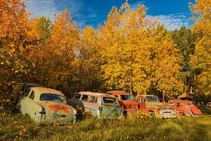 Picture of CANADA-MANITOBA-ST LUPICIN VINTAGE OLD VEHICLES IN WRECKING YARD