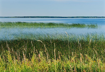 Picture of CANADA-MANITOBA-RIDING MOUNTAIN NATIONAL PARK CLEAR LAKE LANDSCAPE