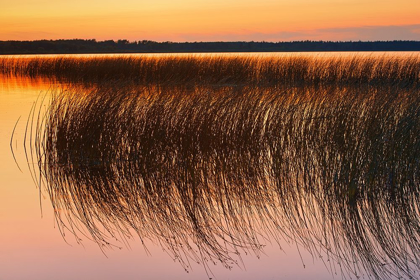 Picture of CANADA-MANITOBA-RIDING MOUNTAIN NATIONAL PARK SUNSET ON LAKE AUDY